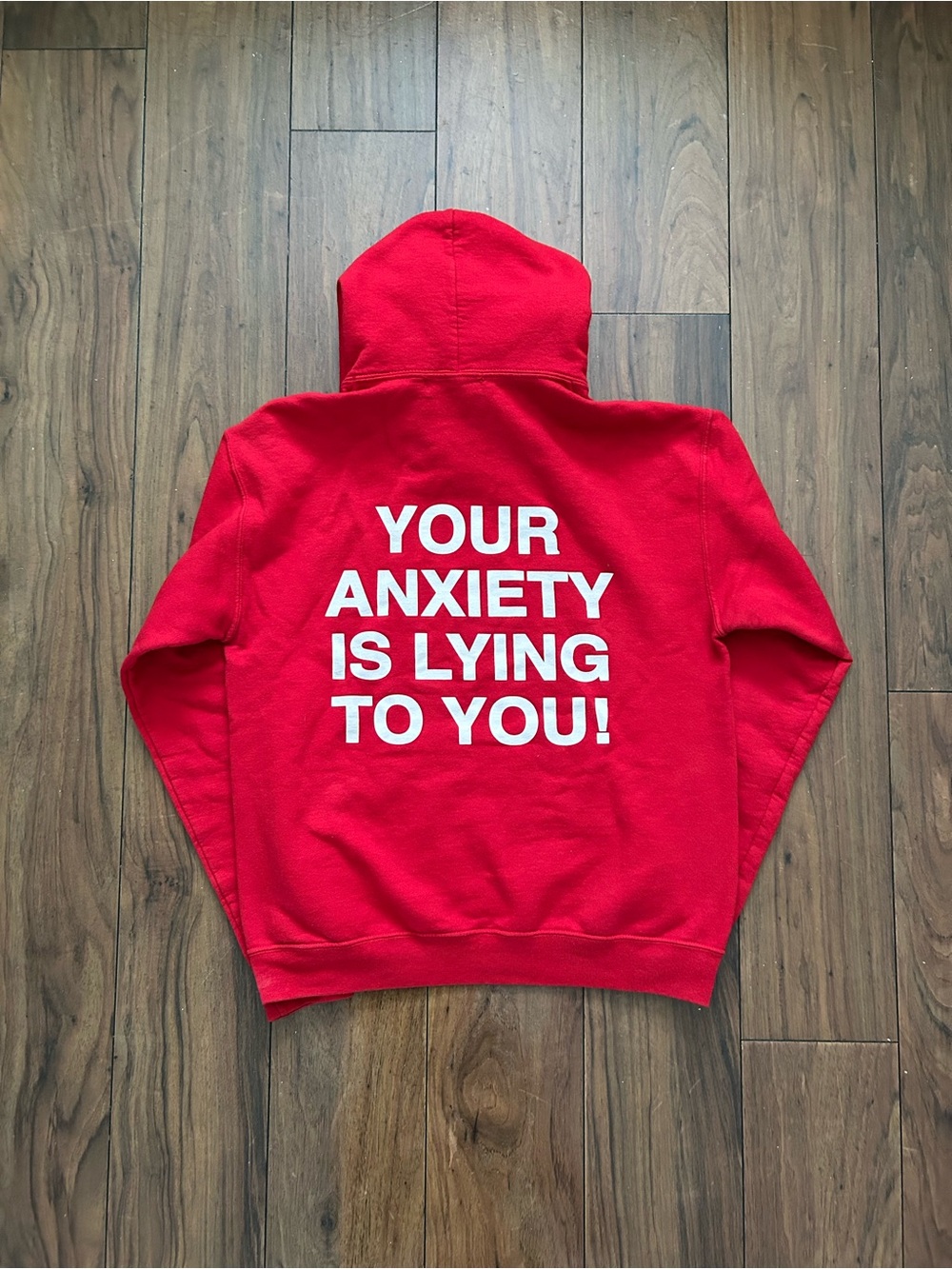 Red Graphic Hoodie Sweatshirt - YOUR ANXIETY IS LYING TO YOU!